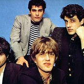 The Plimsouls - List pictures