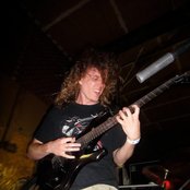 Vektor - List pictures