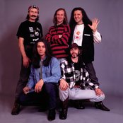 Kruiz - List pictures