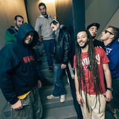 Danakil - List pictures