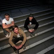 Elephant - List pictures