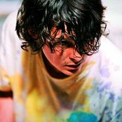 Panda Bear - List pictures