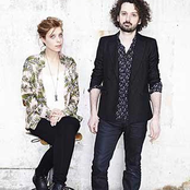 Cats On Trees - List pictures