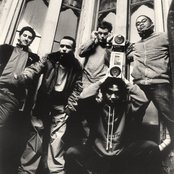 The Avalanches - List pictures