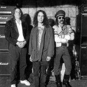 Brocas Helm - List pictures