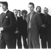 Weeping Willows - List pictures