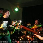 Black Sheep - List pictures