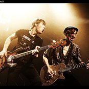 The Fleshtones - List pictures