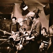 Fink - List pictures