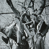 Kinks - List pictures