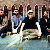 Miniature Tigers - List pictures