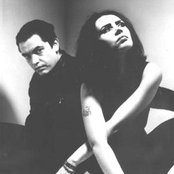 Curve - List pictures