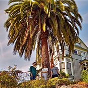 Regal Degal - List pictures