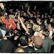 Pinhead Gunpowder - List pictures