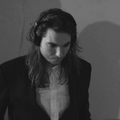 Tom The Lion - List pictures