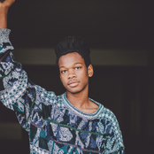 Shamir - List pictures