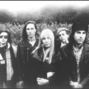 Live Skull - List pictures