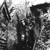 Paramaecium - List pictures