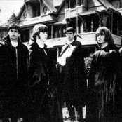 The Count Five - List pictures