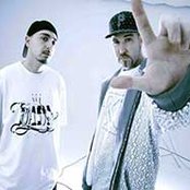 Sfdk - List pictures