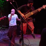 Nuclear Rabbit - List pictures