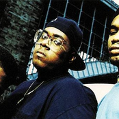 Original Flavor - List pictures