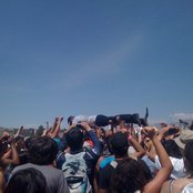 Street Dogs - List pictures