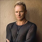 Sting - List pictures