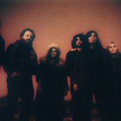 Rose Windows - List pictures