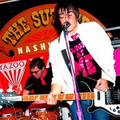 Pink Spiders - List pictures