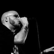 Organismen - List pictures