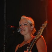 Broilers - List pictures