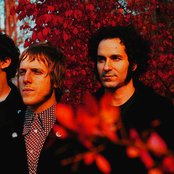 The Black Hollies - List pictures