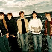 The Coral - List pictures