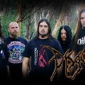 Disgorge - List pictures