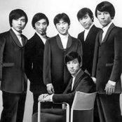 Jaguars - List pictures