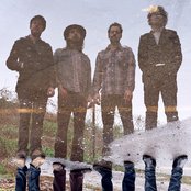 Vetiver - List pictures