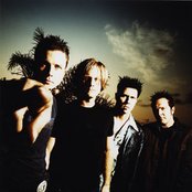 Oleander - List pictures