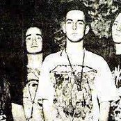 Carcass - List pictures