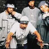 St. Lunatics - List pictures