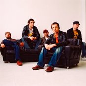 Blumentopf - List pictures