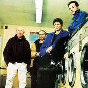 Noir Desir - List pictures