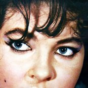 Maysa - List pictures