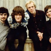 Kråkesølv - List pictures