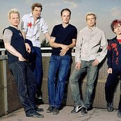 Toten Hosen - List pictures
