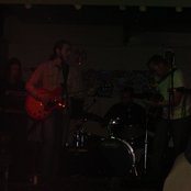 The Amber Herd - List pictures