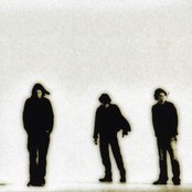 Revis - List pictures