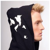 Aaron Carter - List pictures