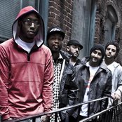 Bad Rabbits - List pictures