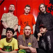 Shunk - List pictures